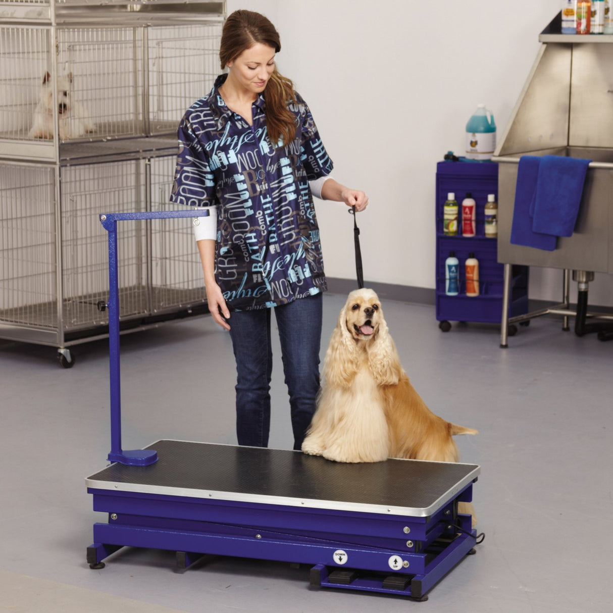 Master Equipment Master Equip Xtend Electric Grooming Table, Blue Master Equipment