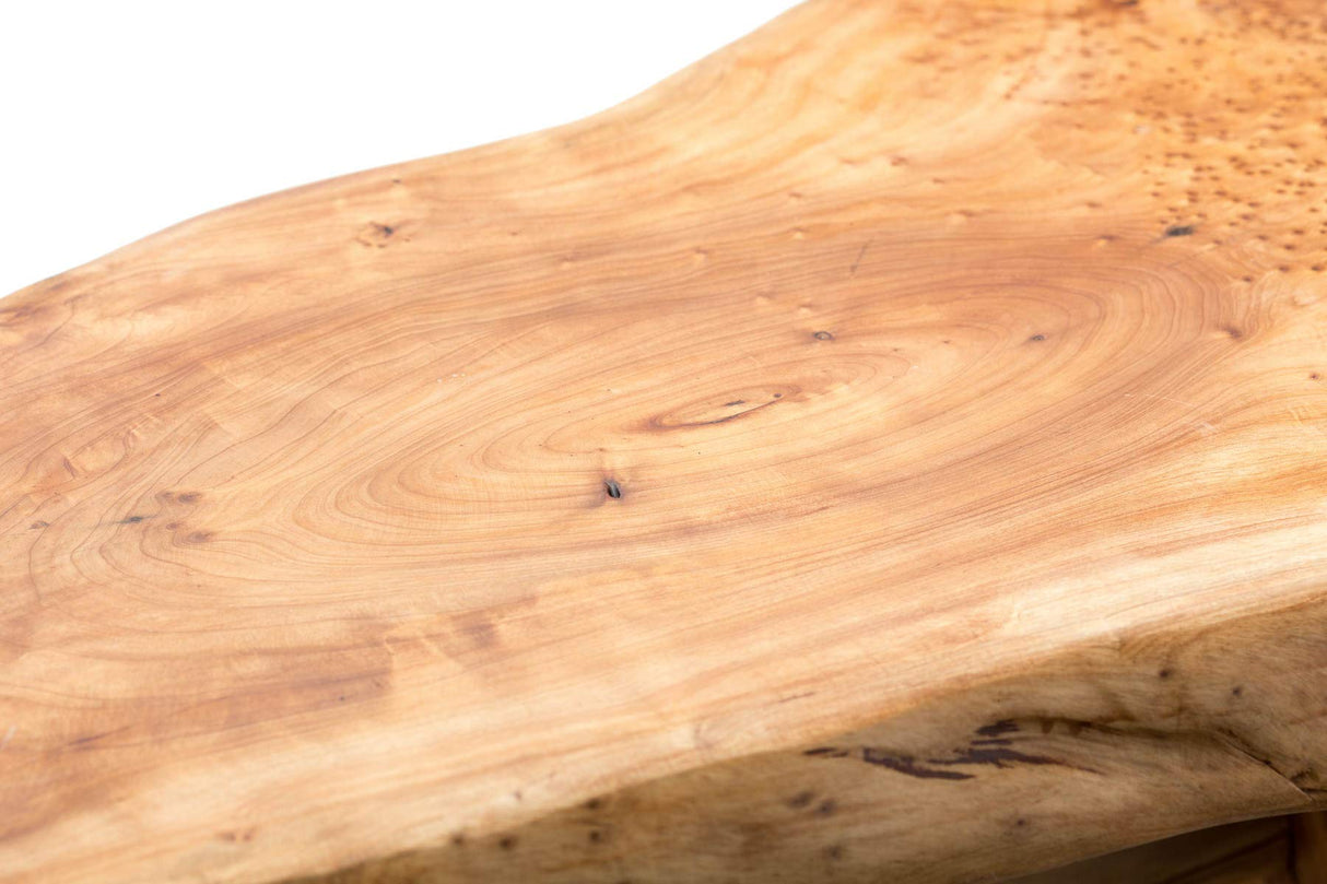 TJ Global Natural Edge Cedar Wood Tree Stump Indoor/Outdoor Stool, Garden Bench, Night Stand, End Table, Plant Stand - L20 x W11 x H17 TJ Global