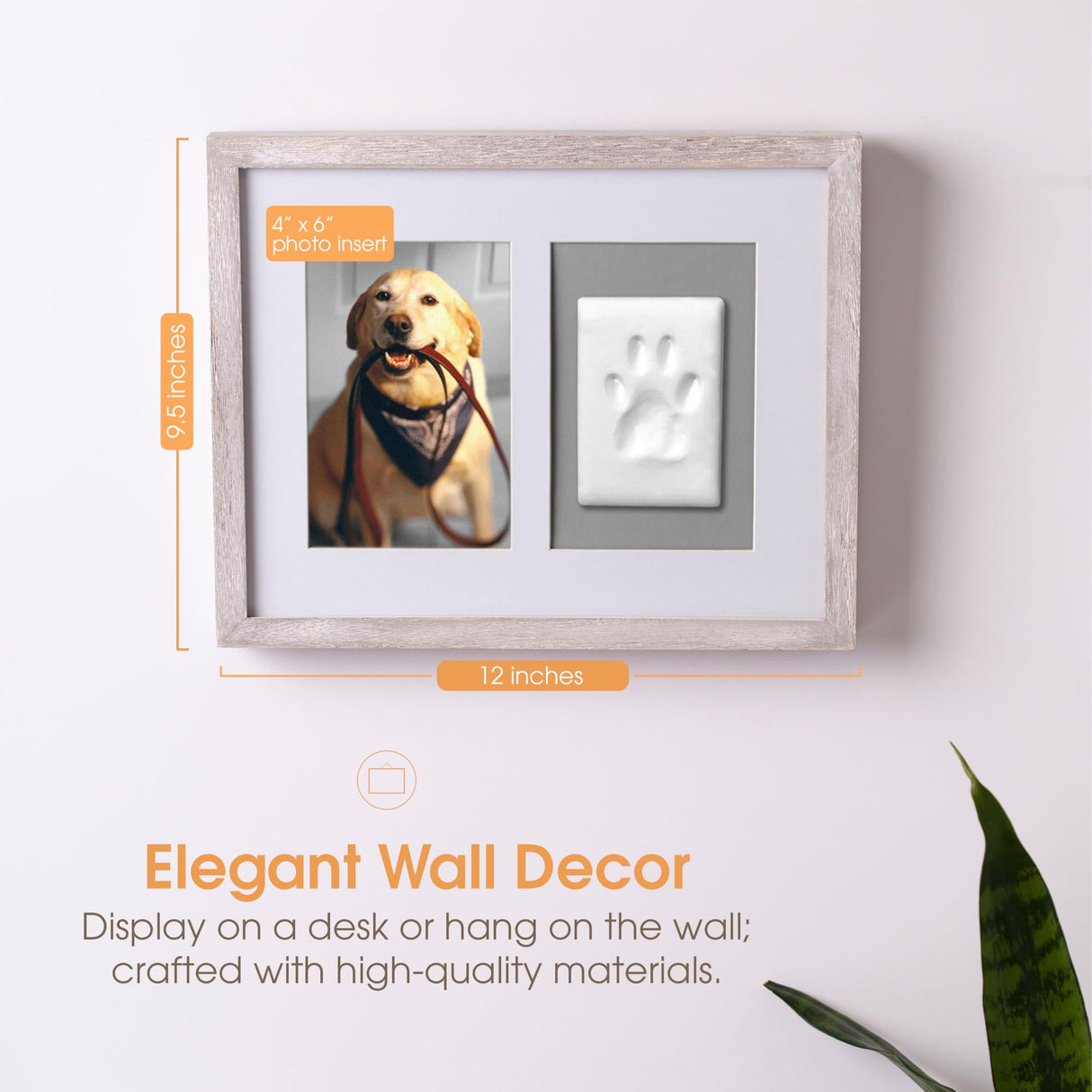 Pearhead Pet Pawprints Wall Picture Frame and Clay Impression Kit - DIY Clay Paw Print, Memorial Keepsake Frame for Cat and Dog, Ideal Home Decor Gift for Pet Owners, 4x6 Photo, Distressed White Pearhead