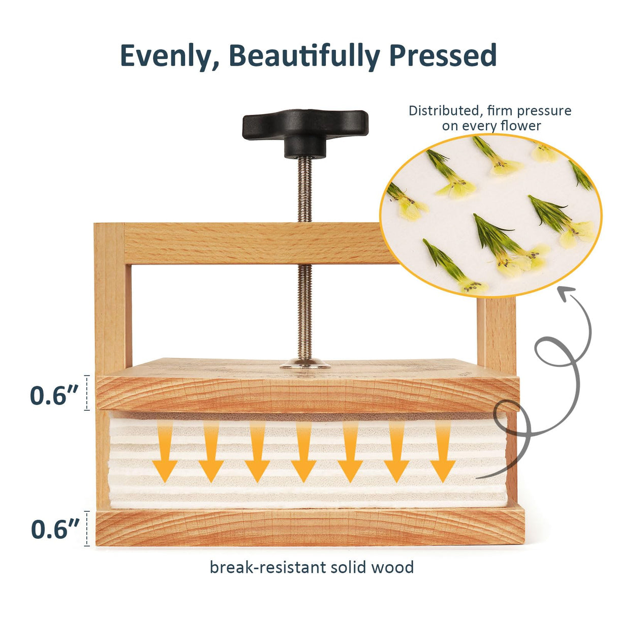 wisedry Flower Press Kit, Easy One-Step Pressing, Even Pressure, 6 Layers, 10 x 6 inch Flower Press Kit for Kids and Adults, Great Gifts for Anyone Who Loves Flowers and Crafts, Gift Box & User Guide wisedry