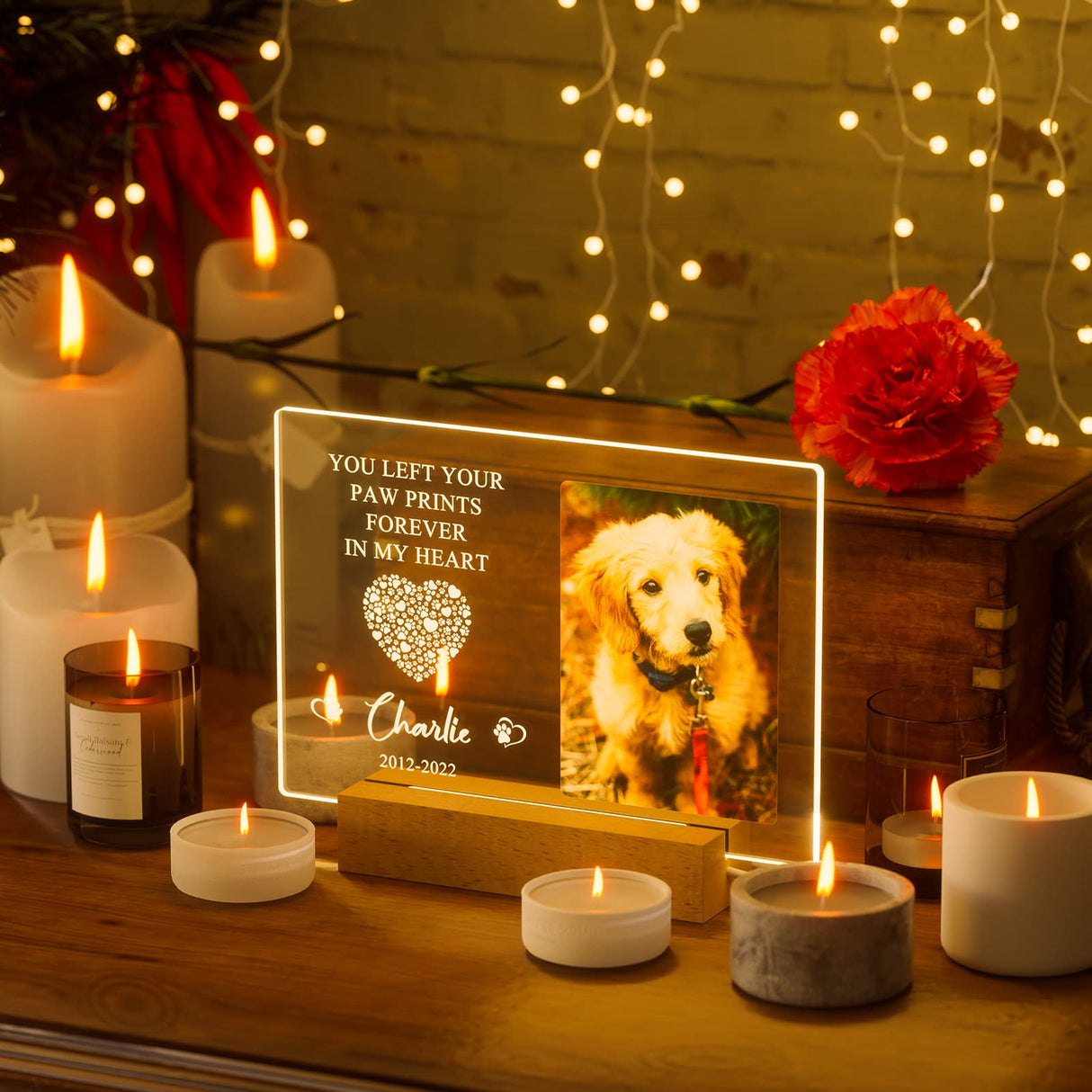 Bemaystar Personalized Pet Memorial Gifts Dog Memorial Gifts for Loss of Dog Pet Loss Gifts in Memory of Dog Night Lights Custom Dog Memorial Plaque Cat Memorial Photo Frame Pet Sympathy Gifts Bemaystar
