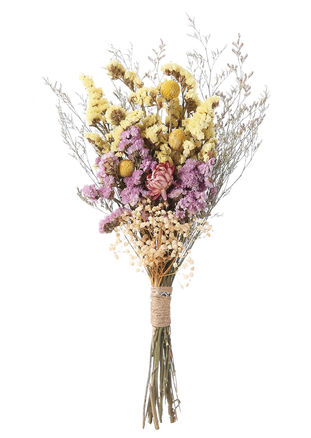 Botius 17" Natural Mixed Dried Flowers Bouquet Real Dried Lover Grass, Myosotis, Daisy, Craspedia Billy Balls Floral Arrangements for Boho Home Wedding Table Vase Décor Botius