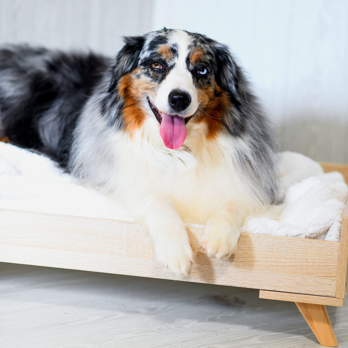 Midlee Raised Wooden Dog Bed Frame- Small Midlee