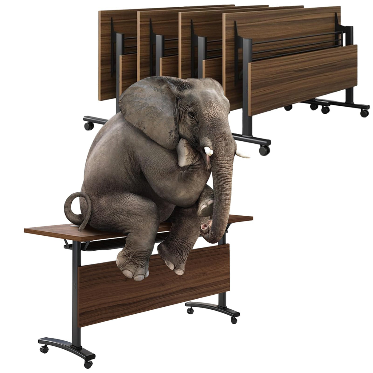 Conference Table 4 Pack - Modern Office Conference Room Table, Folding Conference Tables Training Table, Mobile Flip Top Meeting Table with Caster Wheels (A, 63 x 23.6 x 29.5 inch) Ysjndasm