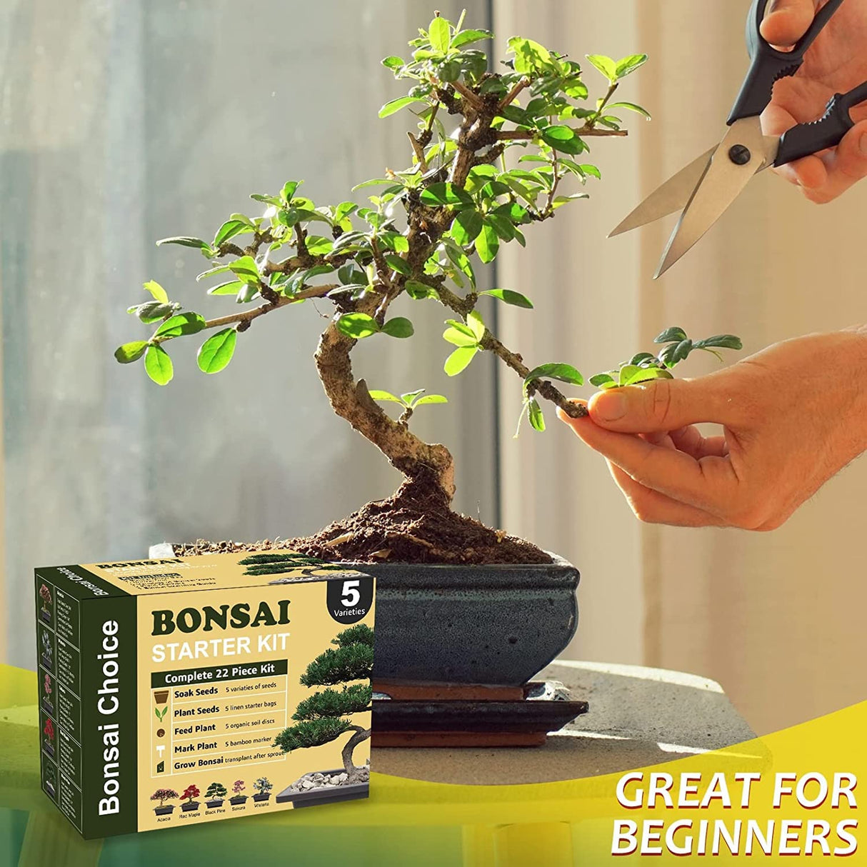 Meekear Indoor Starter Kit with Complete Planting Tools, Gardening DIY Gift for Plant Lovers Meekear