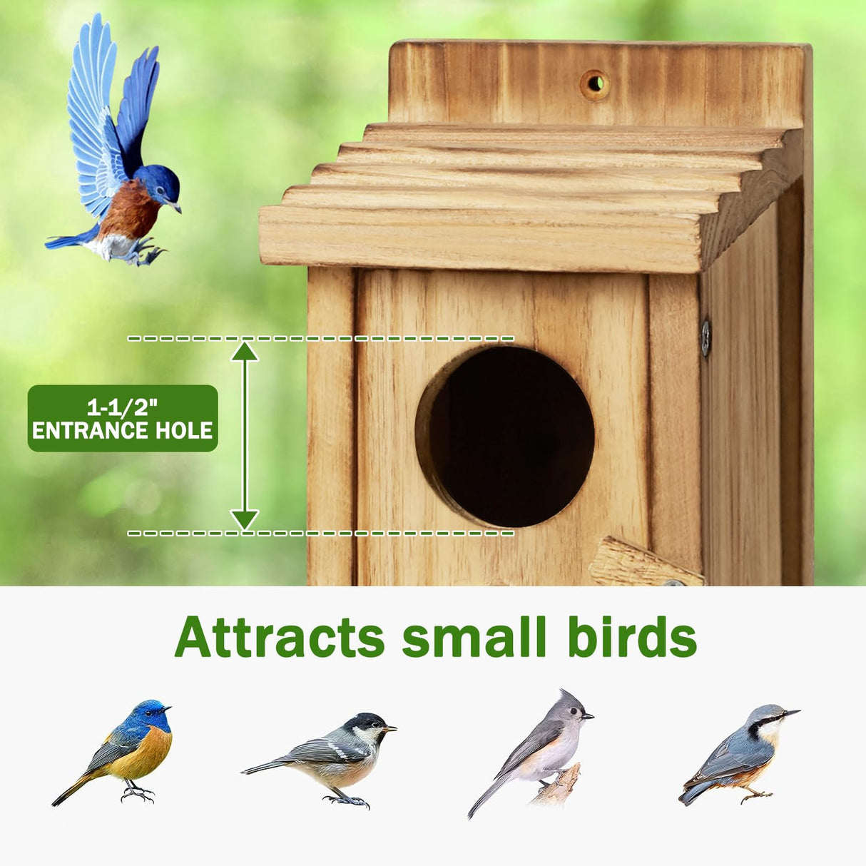CLACKIBUKVYZ Small Bird House for Hummingbirds,Bird Houses for Outside,Humming Bird Houses for Outside,Outdoor Bird Box,Birdhouse,Bluebird House,Wooden Birdhouse with perches CLACKIBUKVYZ