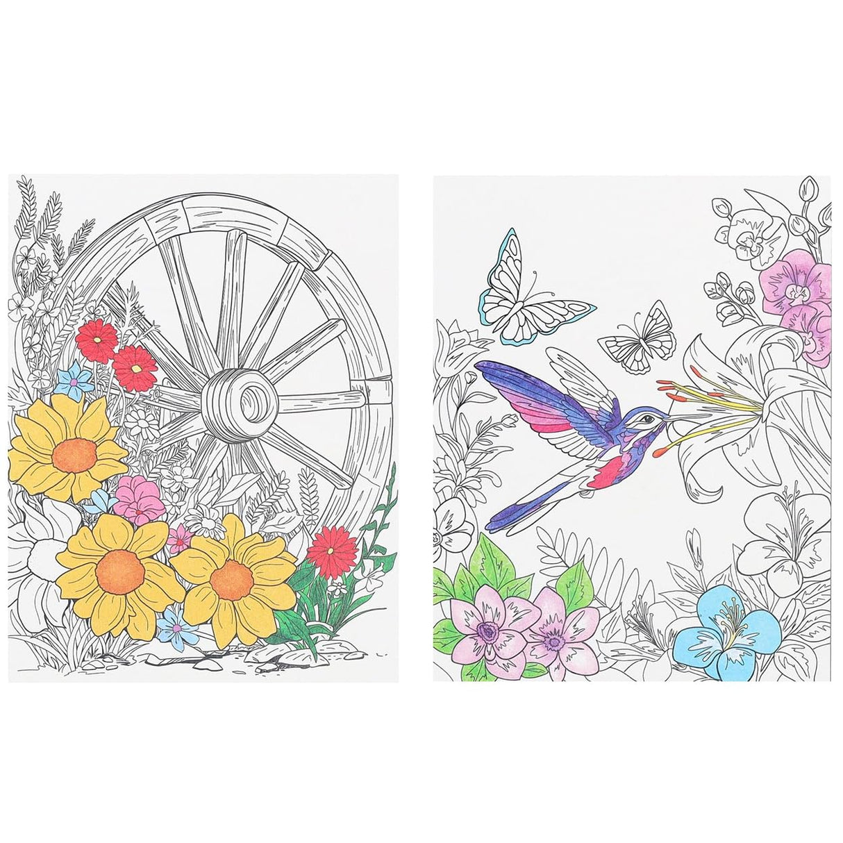 Leisure Arts Blooms & Butterflies Adult Coloring Book – Relaxation & Stress Relief with Intricate Floral, Butterfly Nature Designs, Premium Single-Sided Pages, 80 Sheets LEISURE ARTS