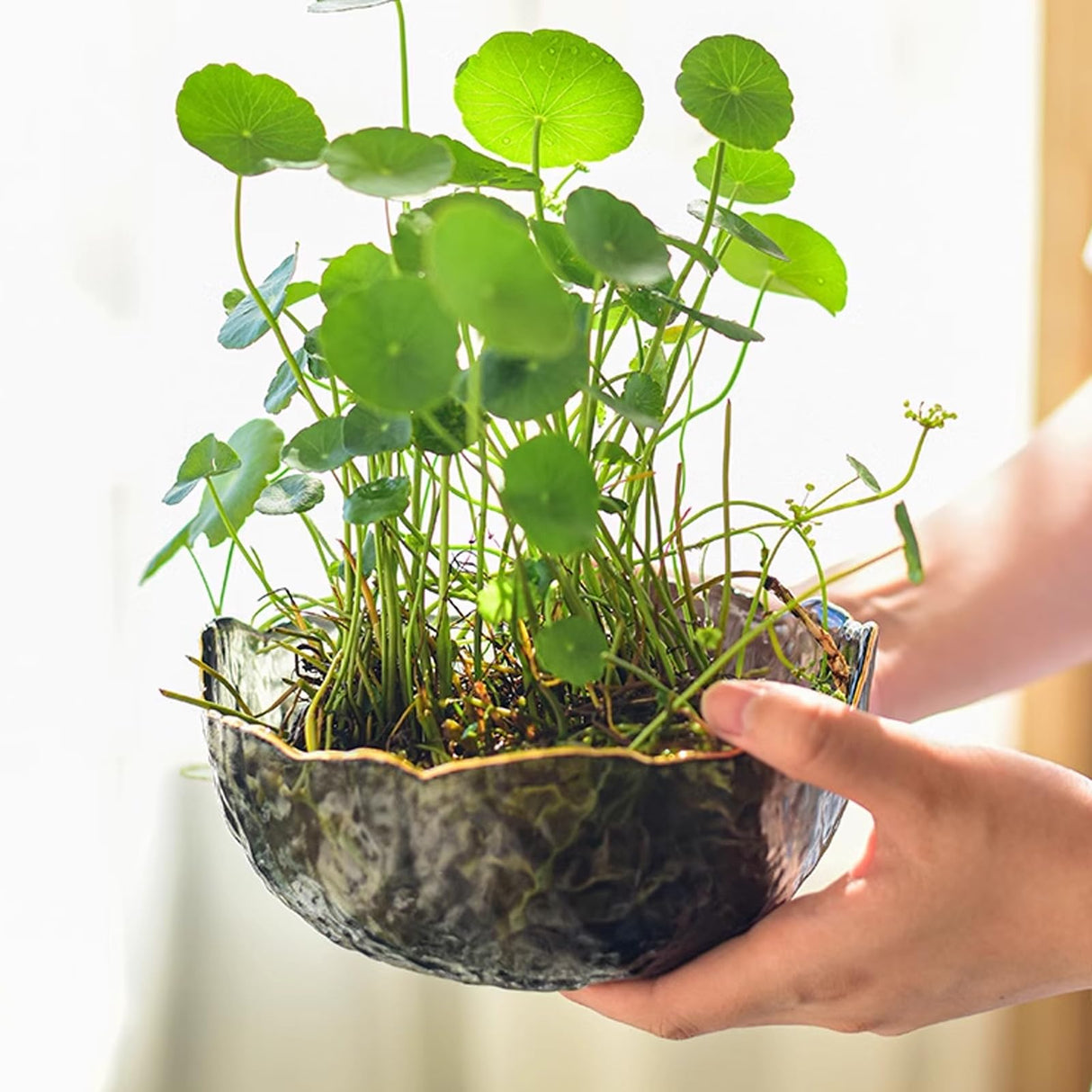 Wehous Bowl Resin Mold Irregular Storage Box Silicone Mold Unique Container Jewelry Holder Candle Vessels Mold for Epoxy Resin Concrete Cement DIY Art Craft Trinket Jar Dish Plant Pot Table Home Decor Wehous