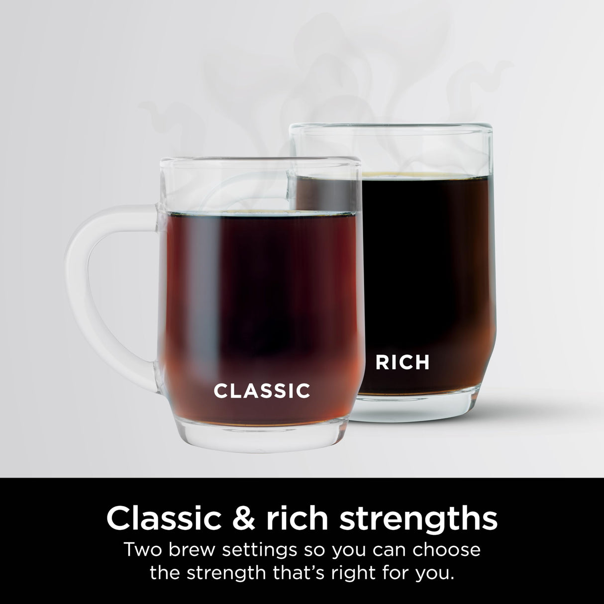 Ninja 12-Cup Programmable Coffee Brewer, 2 Brew Styles, Adjustable Warm Plate, 60oz Water Reservoir, Delay Brew - Black/Stainless Steel Ninja