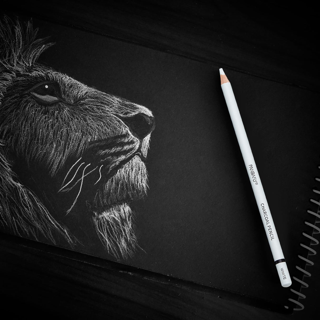 PANDAFLY White Charcoal Pencils Set, Professional 14 Piece Sketch Highlight Charcoal Pencils for Drawing, Sketching, Shading, Blending, White Chalk Pencils for Kid, Beginners & Pro Artists PANDAFLY