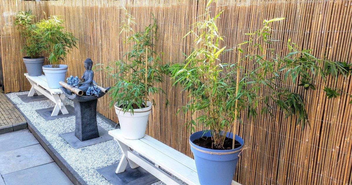 Bamboo Slat Fence, 5'H x 14'L MGP