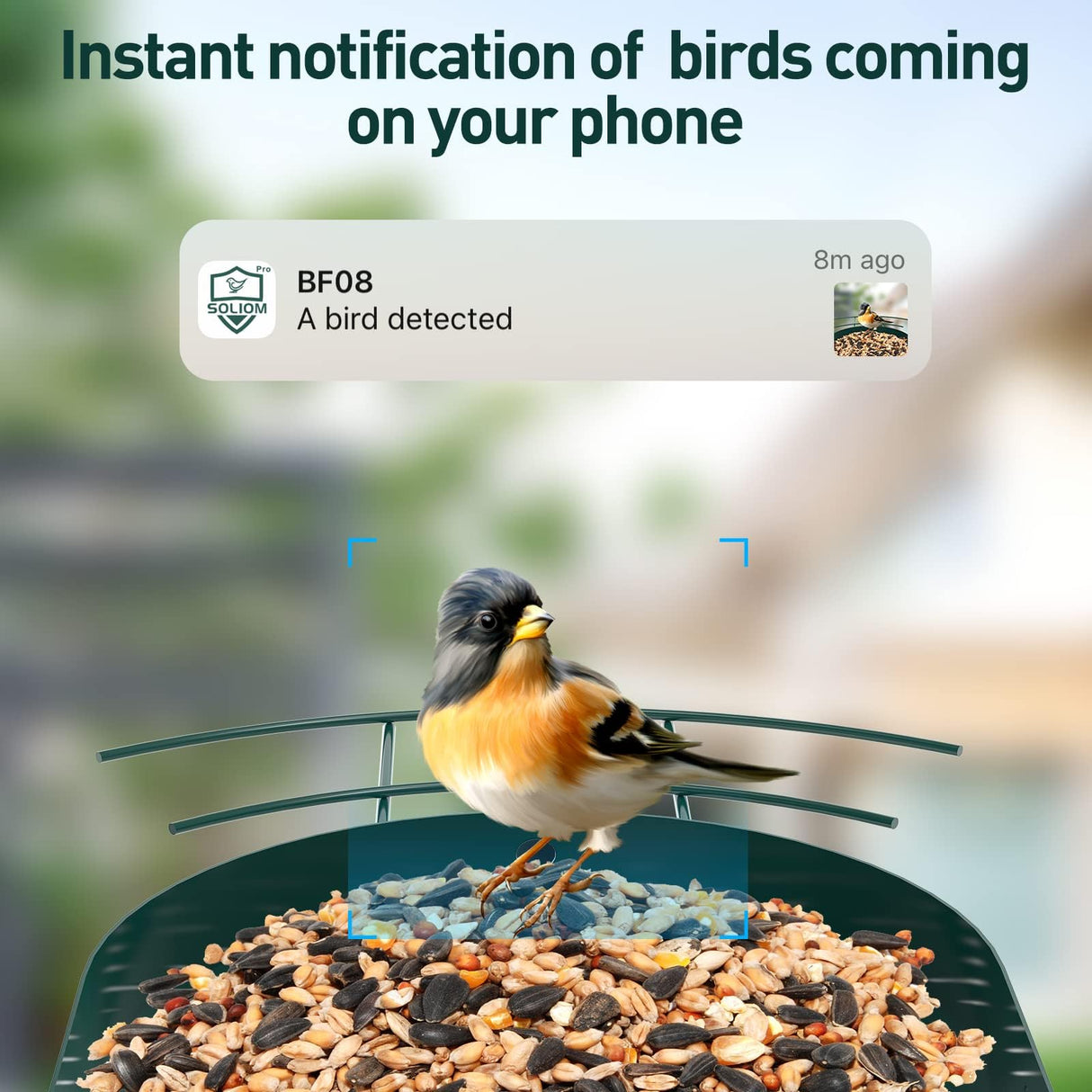SOLIOM® BF08- Metal Bird Feeder Camera with Smart AI Identify Bird Species, Wild Bird Watching Cam, Live View, Instant Notifications with 5W Solar SOLIOM