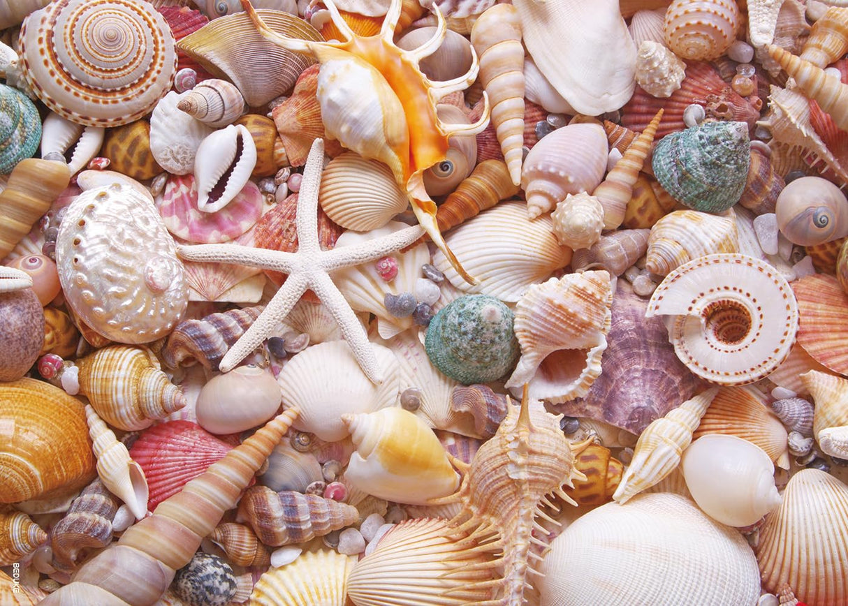 BEDUKE Jigsaw Puzzles for Adults 1000 Pieces Beach Shells 1000 Piece Puzzle Thick Sturdy Precise Interlocking Family Game Age 14+ BEDUKE
