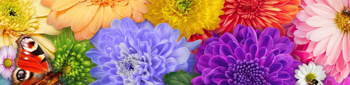 Ceaco - Flower Spectrum - 300 Oversized Piece Jigsaw Puzzle Ceaco