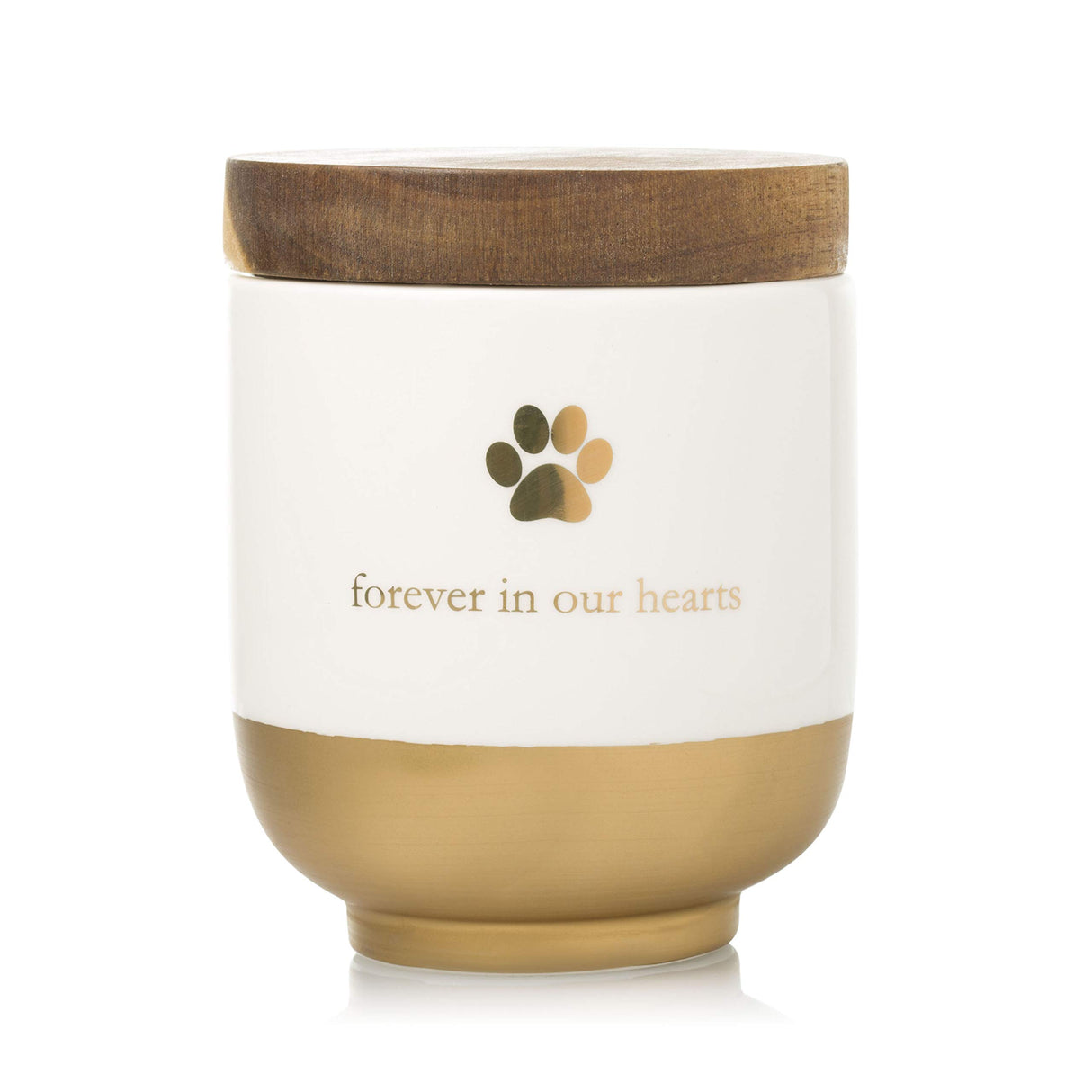 Pearhead Pet Ceramic Forever in Our Hearts Urn, Pet Memorial, Dog Or Cat Keepsake Urn, Rainbow Bridge, Gold Pearhead