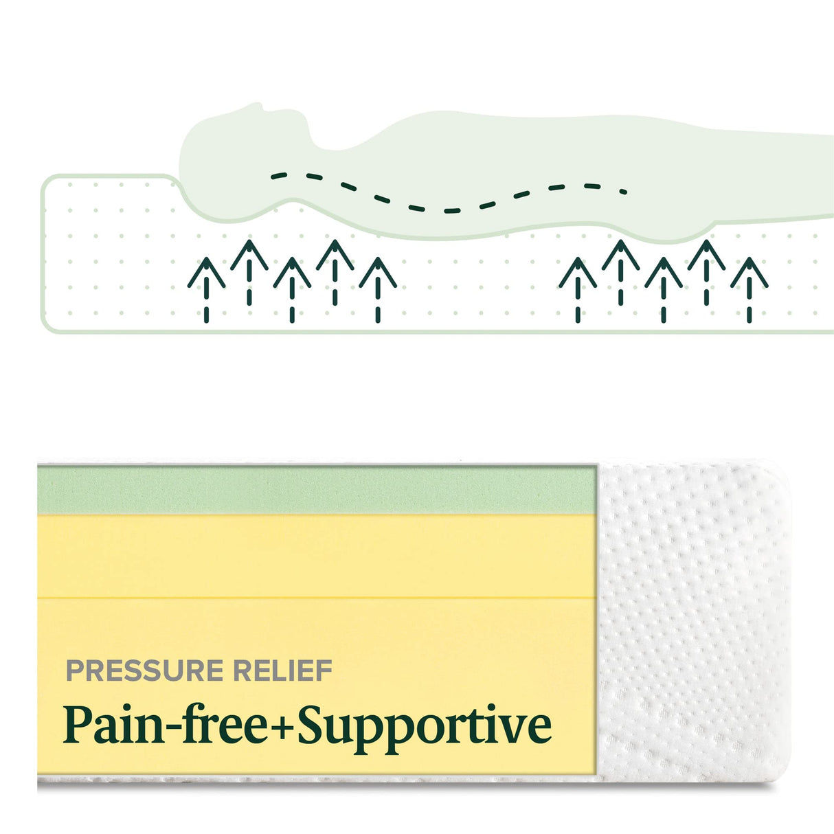 ZINUS 10 Inch Green Tea Essential Memory Foam Mattress, Twin, Mattress in A Box, Affordable Mattress, CertiPUR-US Certified Zinus