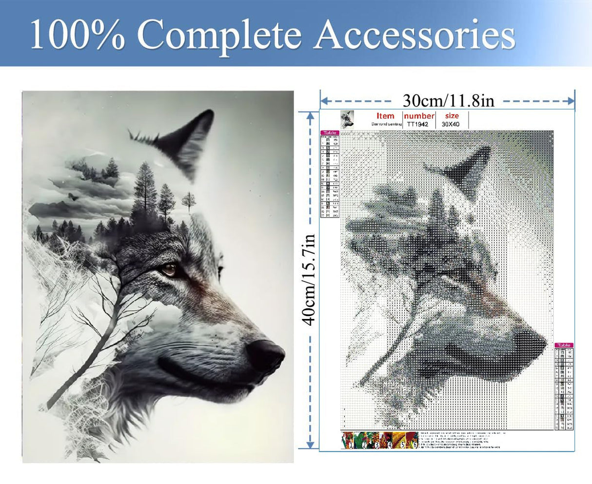 JFYHAB Wolf Diamond Art Kits for Adults, Mountain Wolf Diamond Painting Kits for Adults Beginners, DIY 5D Diamond Painting with Round Gem Art Kits for Gift Home Wall Decor 12x16 Inch JFYHAB