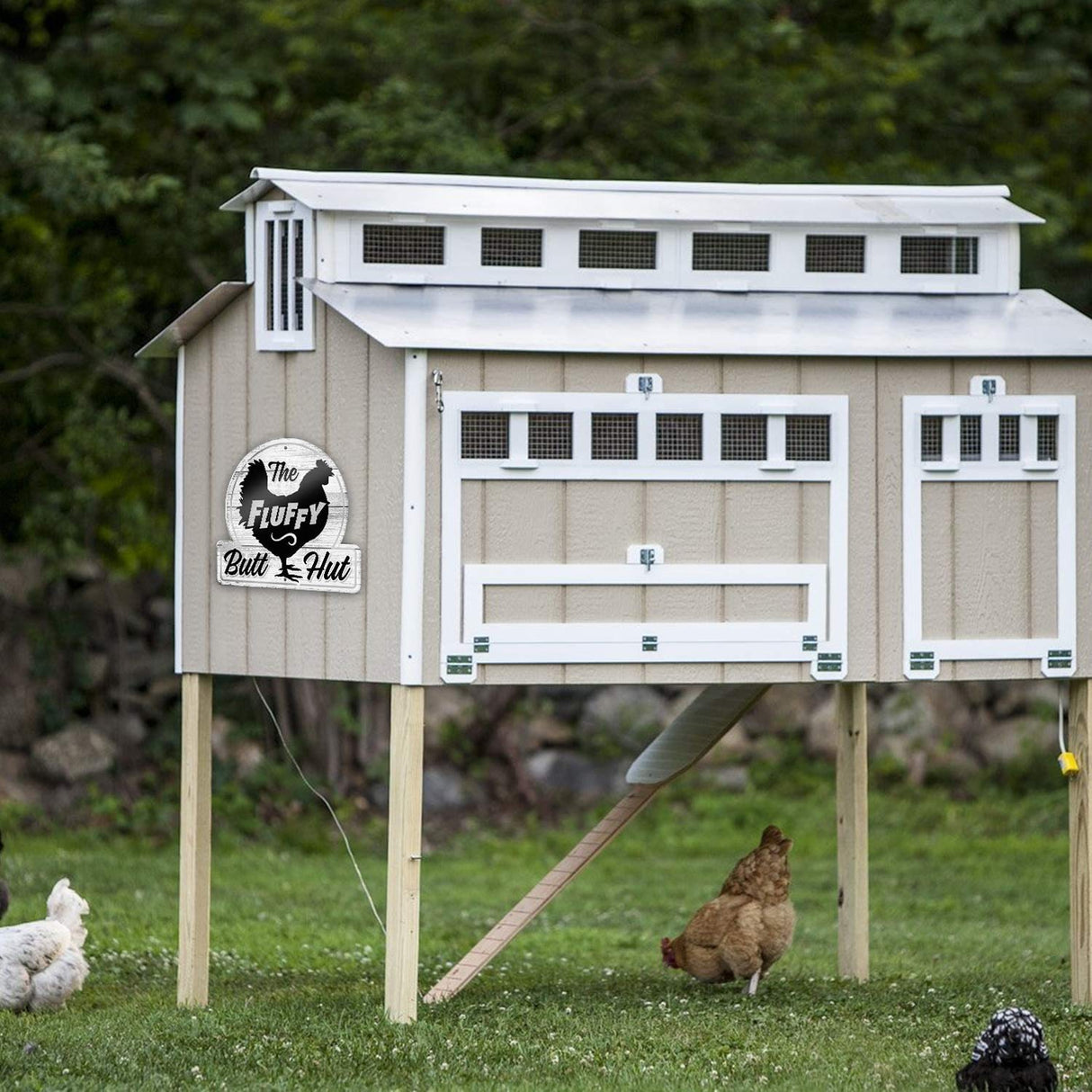 Bigtime Signs Fluffy Butt Hut Chicken Coop Sign - Funny Chicken Coop Decor for Hen Lovers, 12"x11" PVC Durable and Weatherproof - Thoughtful Gift for Chicken Lovers, Hen Feeder and Nesting Box Accent Bigtime Signs