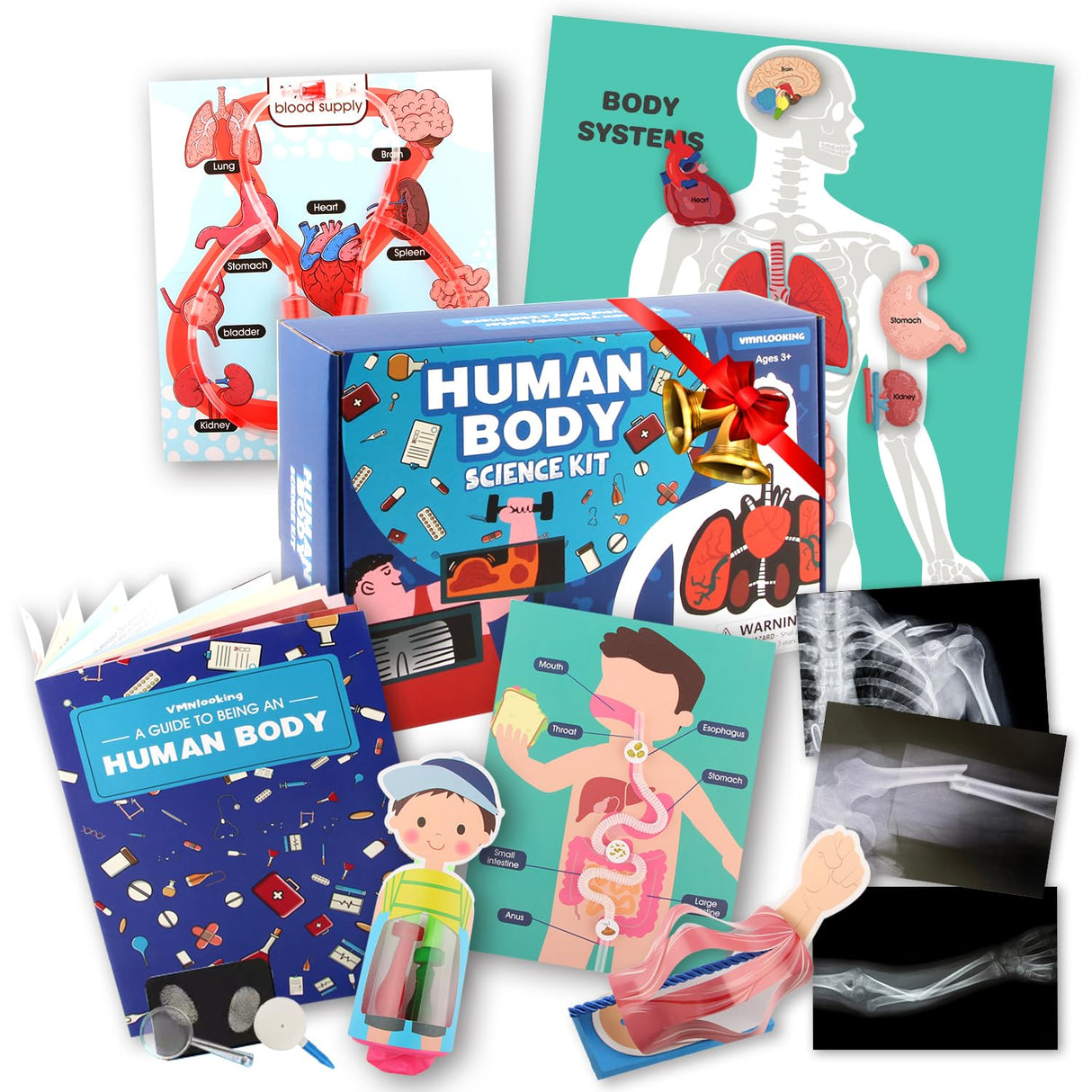 Human Body Activities & Experiments Science Kit for Kids,Human Anatomy Body Parts with Broken Bones X Ray,Lung Breathing Model, Vessels, Digestive System,Muscles Model,Skeleton,Human Organ STEM 5+ VMNlooking