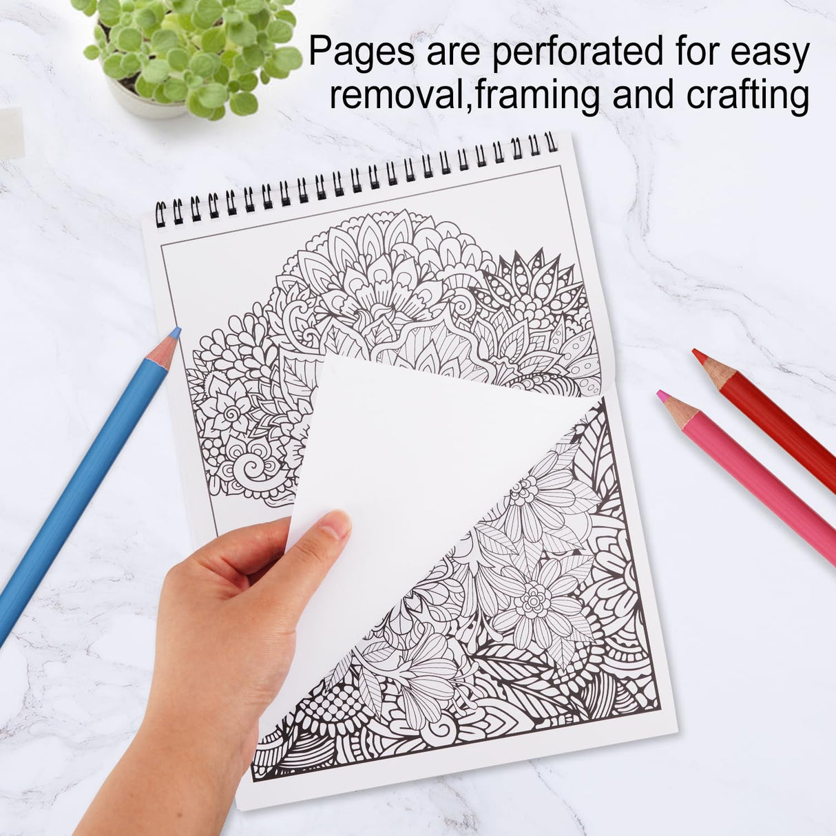 Bondream 3 Pack Adult Coloring Books,Flower,Mandalas &Animal Patterns and Designs for Adults Relaxation,Coloring Books for Women to Relax, Anxiety and Depression Bondream