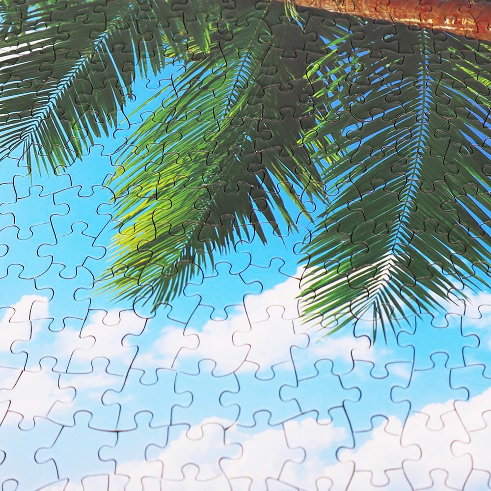 BEDUKE Jigsaw Puzzles 1000 Piece - Every Piece is Unique - for Adults Sturdy Thick Cardboard Puzzle Coastal Beach Precise Interlocking Family Game Age 14+ BEDUKE