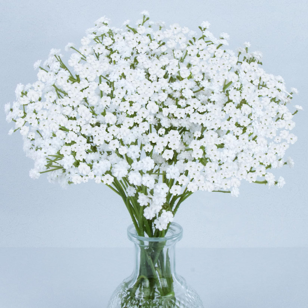 MAQIAHN 6 Baby Breath Artificial Flowers - Babies Breath Flowers Artificial Bulk Faux Flowers Bouquet White Flores Greenery Real Touch Fake Flowers Arrangements Wedding Centerpieces Tables Decorations MAQIHAN