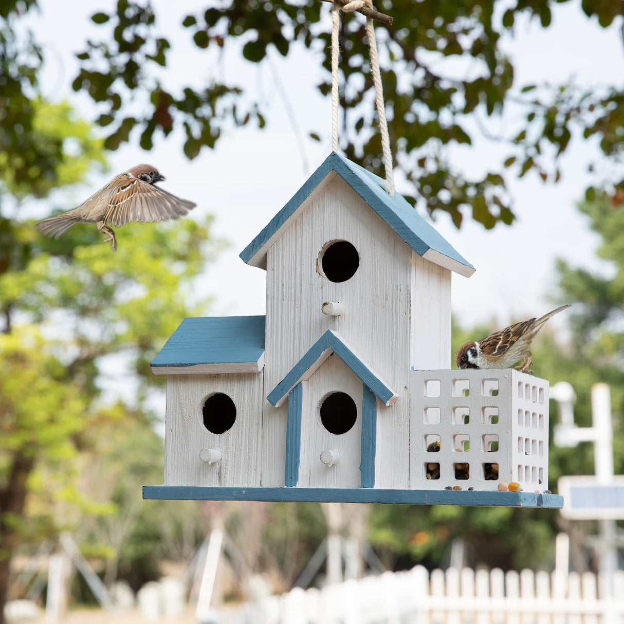 HHWODB Birdhouse Premium Bluebird Houses for Outside Attract Beautiful Birds to Your Garden and Yard Durable Outdoor Birdhouses 3 Hole Bird Houses for Outside Hanging HHWODB