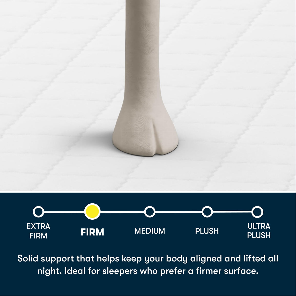 Five Star Mattress Tranquility 7-Inch Firm – Twin Size – Supportive Coils, Breathable Foam – Bed-in-a-Box –100 Night Trial, 10-Year Limited Warranty Serta