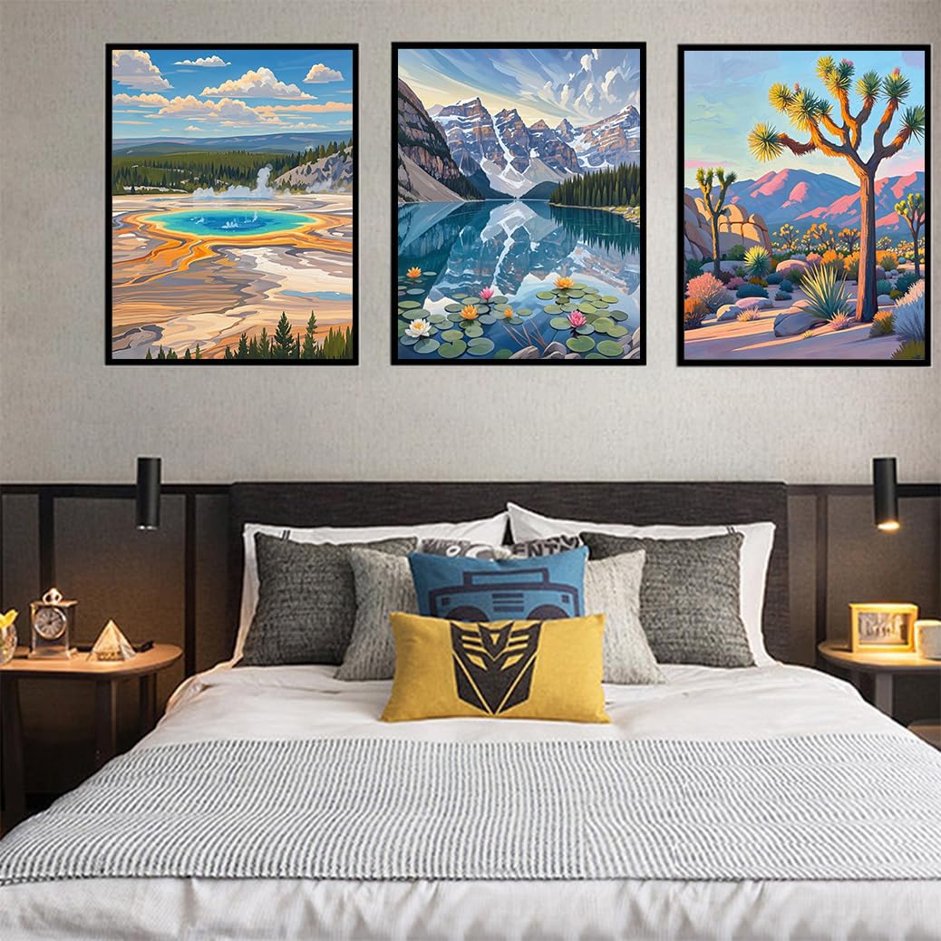 ACIOPPL Sight Paint by Numbers for Adults Beginner National Park DIY Acrylic Painting Kit Landscape Oil Painting by Number Kit Scenery Drawing Canvas Set for Home Wall Decor Joshua Tree National Park Generic