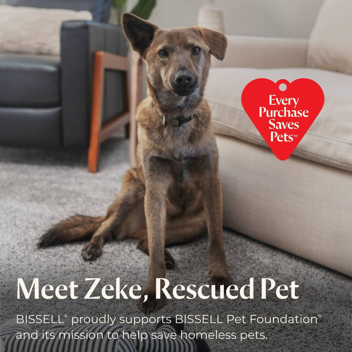 Bissell Pet Hair Eraser Turbo Lift-Off Vacuum, w/Self-Cleaning Brush Roll, HEPA Filtration, Powerful Pet Hair Pickup with TurboBrush Pivot Tool & LED-lit dusting Brush & Crevice Tool, 3774F Bissell