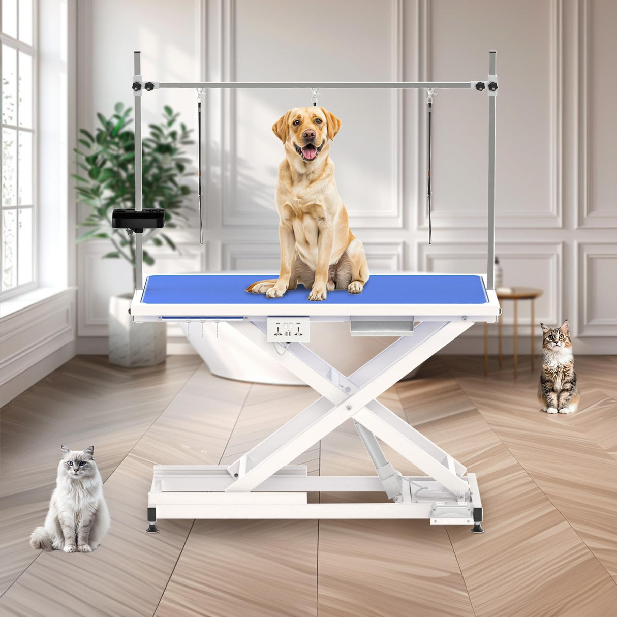 ynhunreth 49'' Electric Dog Grooming Table, Professional Heavy Duty Grooming Table for Dogs at Home 400lbs with Tool Organizer/3 Nooses/Adjustable Arm/Foot Control, Blue ynhunreth