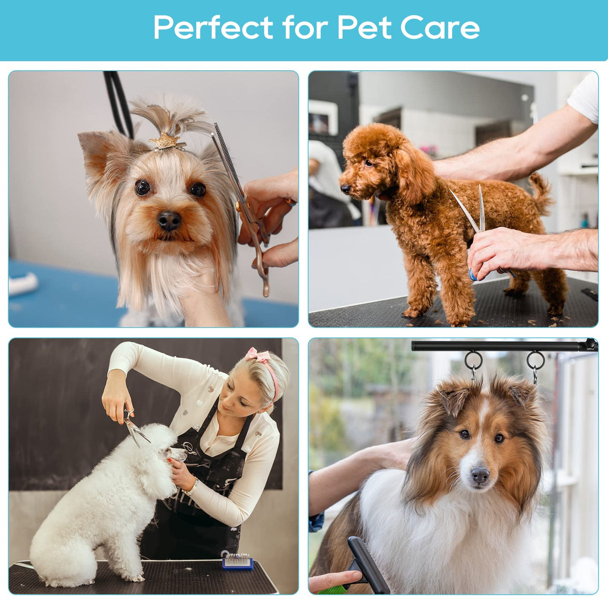 WeGXY Dog Grooming Table Arm, 35" Height Adjustable Pet Grooming Arm with Double Clamp for Small and Medium Dogs,Grooming Loop Noose and No Sit Haunch Holder WeGXY