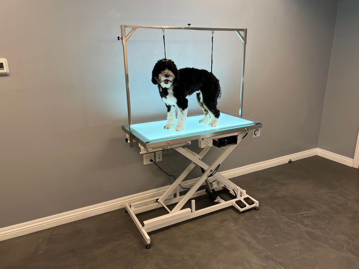 Cove Products LED Lit Master Groomer Electric Lift Grooming Table (Complete Package) Cove Products
