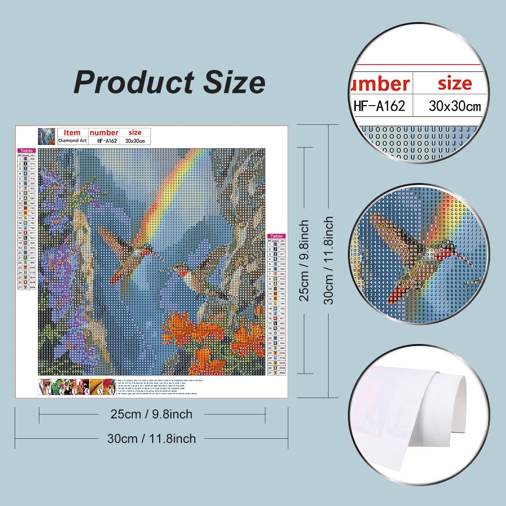 hill froeistung 5D Hummingbird Diamond Art Painting Kits for Adults,Bird,Rainbow Diamond dots, Flower DIY Full Drill Diamond Art Painting Set for Home Wall Decor Gifts (12X12 inch) hill froeistung