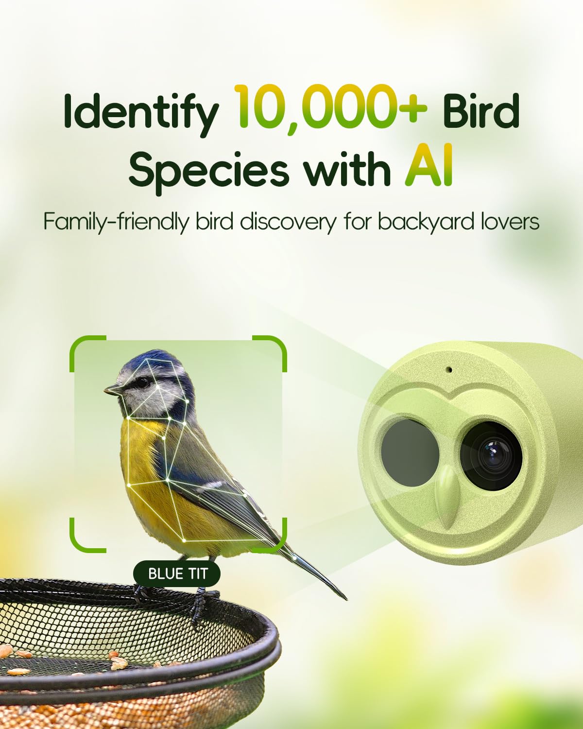 Hibird 4K HD Smart Bird Feeder Camera Solar Powered, 2.4G/5G Dual WiFi Wireless Outdoor, 6X Slow Motion Auto Bird Video Capture, Instant Notifications, AI Identify 10000+ Species for Bird Lover Camojojo