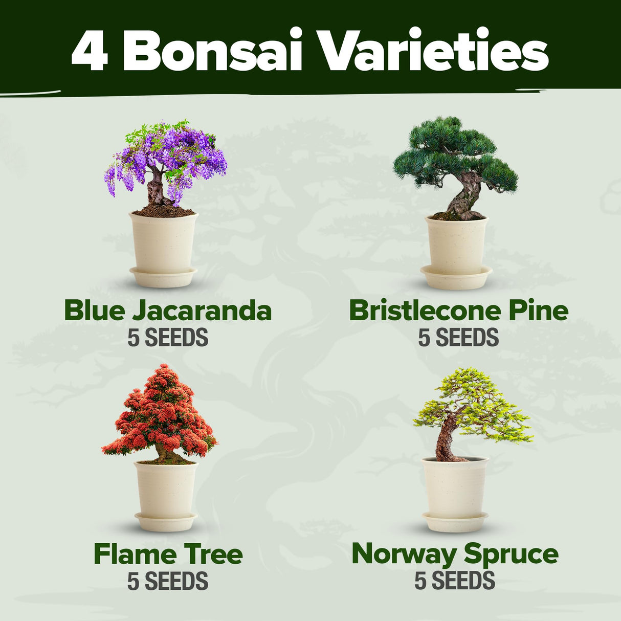 Bonsai Tree Kit - Gifts for Men & Women - Grow 4 Bonsai Trees - Unique Gardening Crafts for Adults, DIY Hobbies for Plant Lovers & Gardeners - Unusual Christmas Gift Ideas for Mom & Dad HOME GROWN