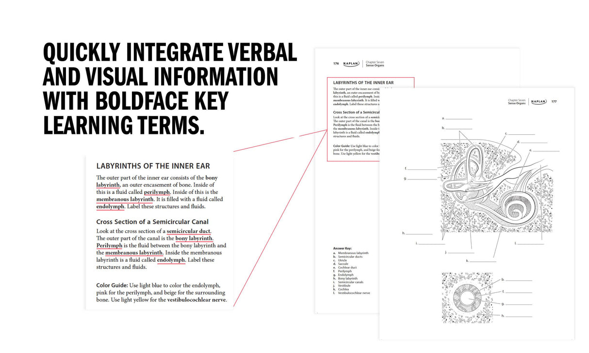 Anatomy Coloring Book with 450+ Realistic Medical Illustrations with Quizzes for Each (Kaplan Test Prep) WoodArtSupply
