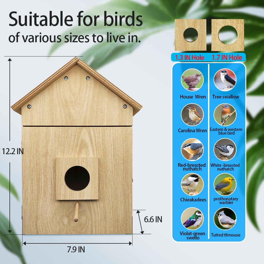 Bird House with WiFi Camera Solar Powered for Wireless Outdoors, HD View Nesting & Hatching, Box House for Bluebird Swallow Wren Chickadee, PIR Detection, SD Card & Cloud Storage, IR Night Vision IP65 Topodome