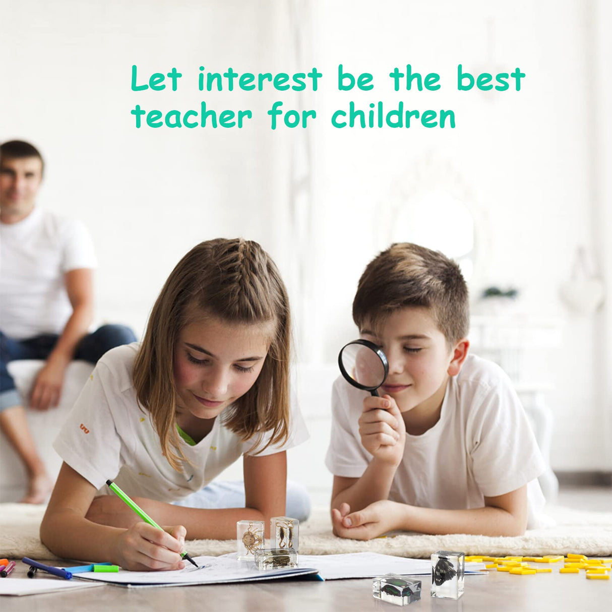 12 Pcs Insect Resin Specimen, Real Bugs Kit for Kids Science Toy Biology Education Insect Collection Resin Specimen Gift Home Decoration TINGLAN