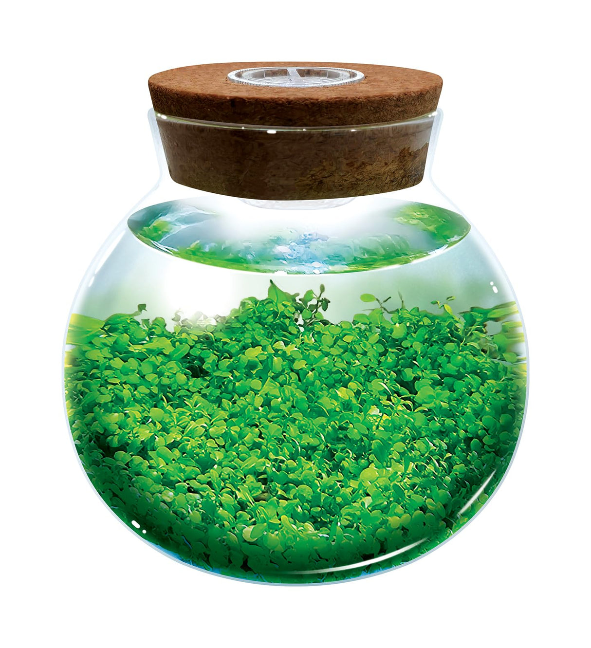 WaterPlants- Create Your Own Lush and Soothing Aquasacape Terrarium Starter Kit, Indoor Plant Glass Globe Terrariums with Powerful 3 LED Light and Complete Supplies, Just Add Water! Unique Gardener