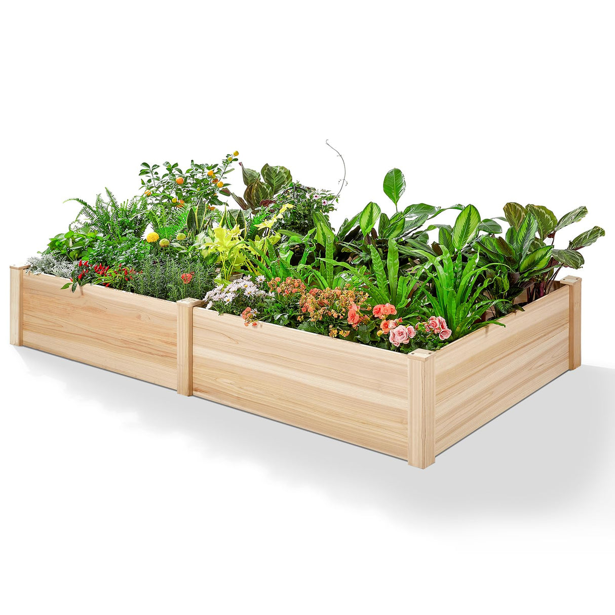 SPECRAFT 8x4 Ft Wood Raised Garden Bed, Durable 15 Inch Depth Planter Box for Vegetables, Herbs, and Flowers, Ideal for Outdoor Gardening with Open Base SPECRAFT