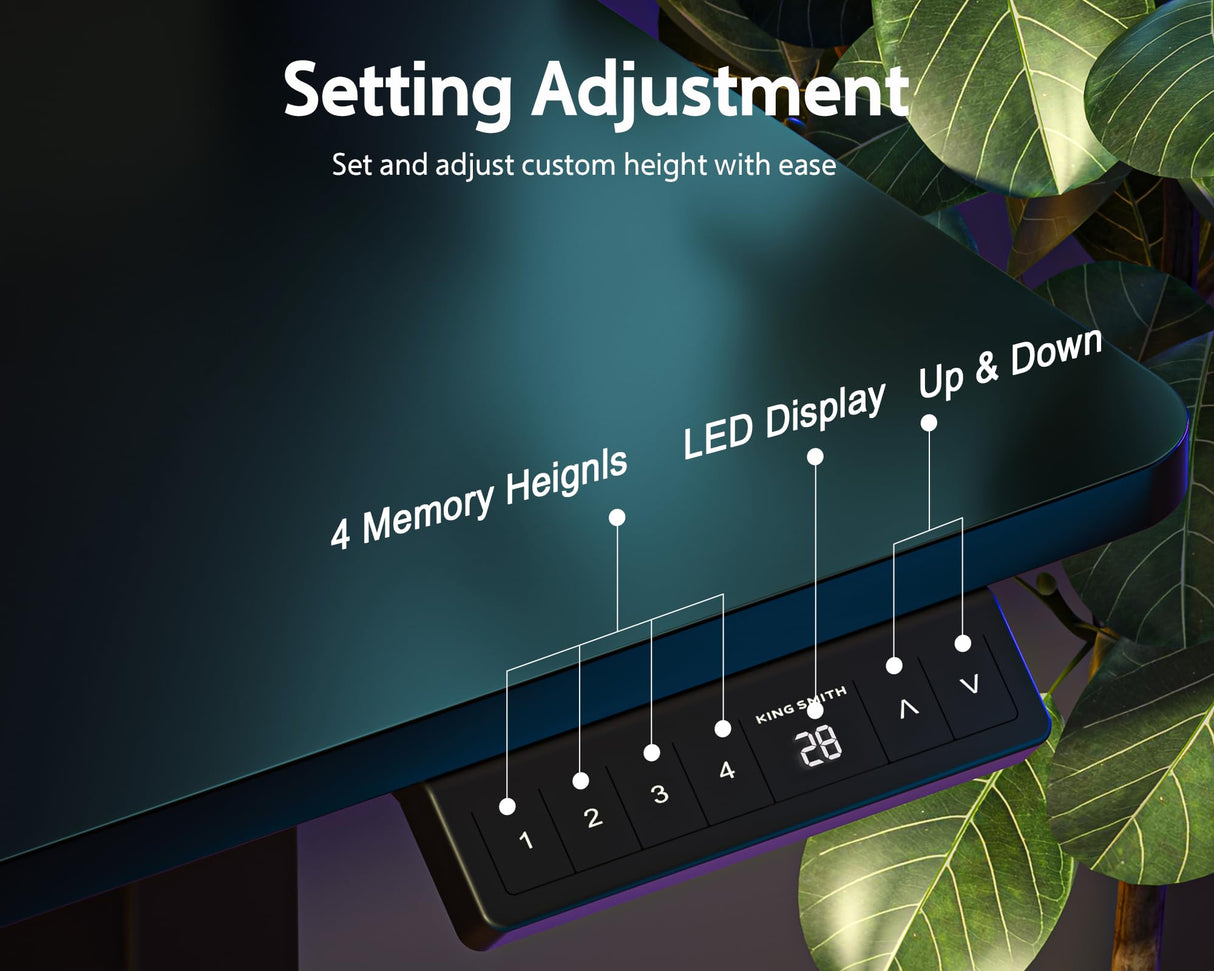 WALKINGDESK 48x24 Inches Electric Standing Desk with 2 Drawers, Height Adjustable Stand up Desk for Home Office, Inches Ergonomic Sit to Stand Desk with Storage Shelf, DIY Board, Hooks, Black WALKINGDESK