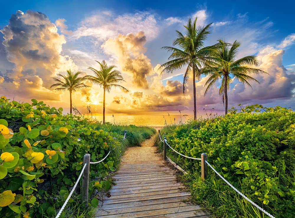 CASTORLAND 3000 Piece Jigsaw Puzzle, Colorful Sunrise in Miami, USA, Adult Puzzle, Castorland C-300617-2 Castorland