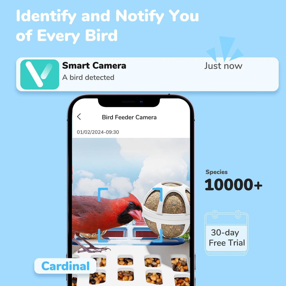 Twesync Bird Feeder with Camera, 2K HD Bird Video Capture, 5000mAh Battery with Solar Panel, Instant Arrival Alerts, Live View, AI Bird Species Identification, Perfect for Bird Lovers Twesync