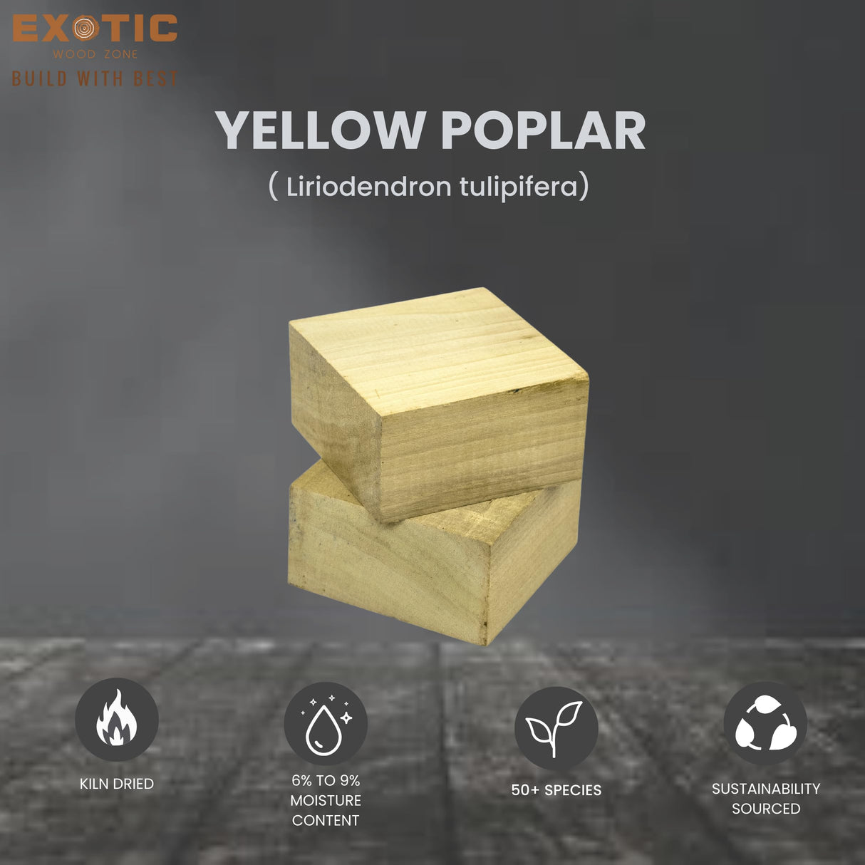 Exotic Wood Zone Pack of 2 Poplar Wood Blanks for Bowls | Hardwood Bowl Blanks | Unfinished, Kiln-Dried, Sustainable Hardwood for Handcrafted Decorative Bowls & Functional Pieces (6" x 6" x 2") Exotic Wood Zone