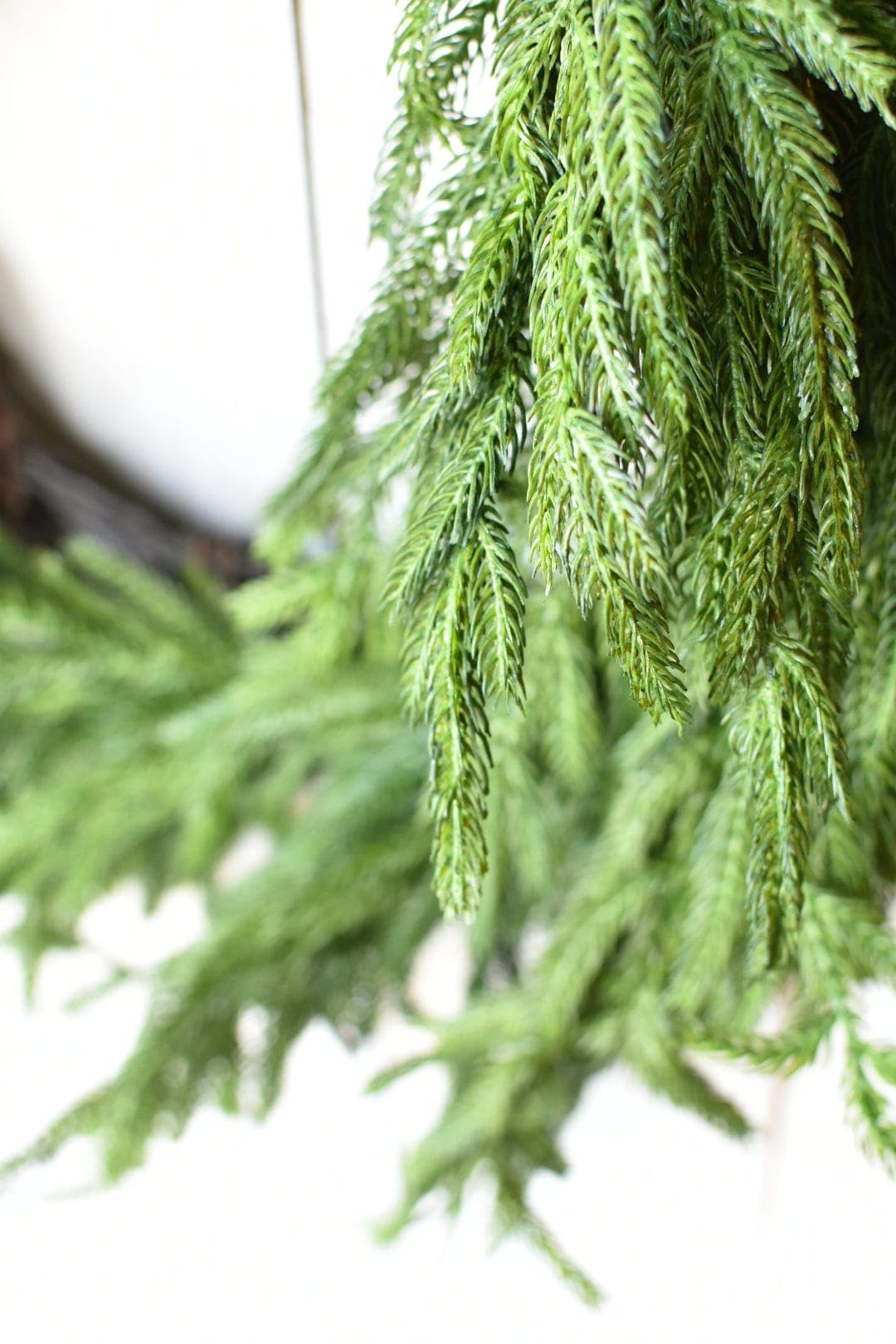 Afloral Real Touch Norfolk Pine Wreath - 24" Afloral