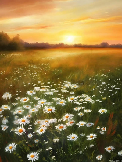 PUAGEMTI Spring Summer Flower Diamond Painting Sunset and Field of Daisies Paint by Numbers for Adults Beginners, Full Round Crystal Diamond Art Kits for Room Decor Bathroom Decor 12x16 inch