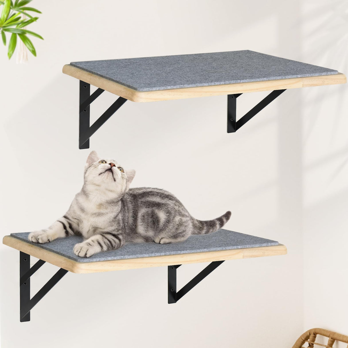 Cat Wall Shelves Set of 2, Wood Cat Shelves for Wall, Cat Wall Bed Hammock with Scratching Pad, Cat Climbing Shelf for Sleeping Playing, Cat Window Perch for Big Cats, Burlywood Cat Furniture Indoor GADKE