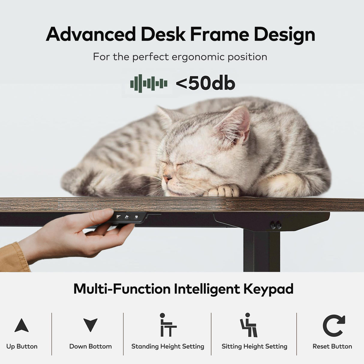 FAMISKY Electric Standing Desk, 63 x 24 Inches Height Adjustable Desk, Ergonomic Home Office Computer Workstation with Vertical Splice Board, Rustic Brown FAMISKY