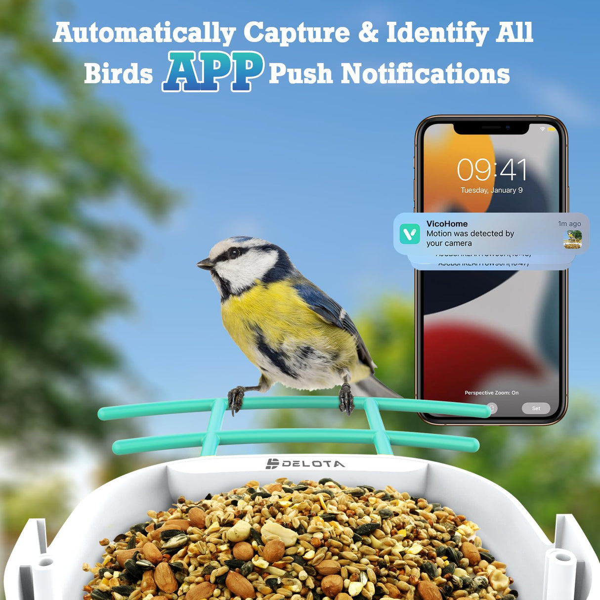 DELOTA Bird Feeder with Camera, Smart Bird Feeder Camera with Ai dentify Bird Species, Auto Video Bird Feeder Camera Live Motion Activated, Bird Feeder with Camera for Outdoor (Green) DELOTA